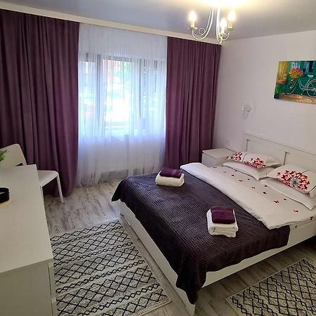 La Fluturi Apartament Daire Suceava Dış mekan fotoğraf
